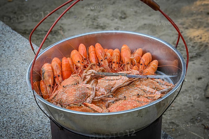Prawns
