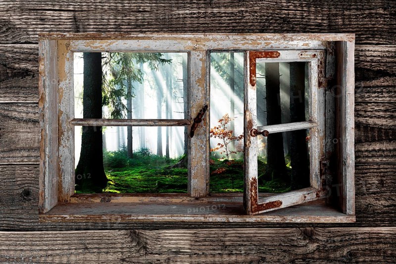 View through a rustic wooden window into the cloud forest