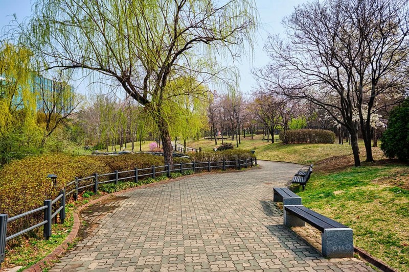 Path walk with benches in Yeouido Park public park in Seoul