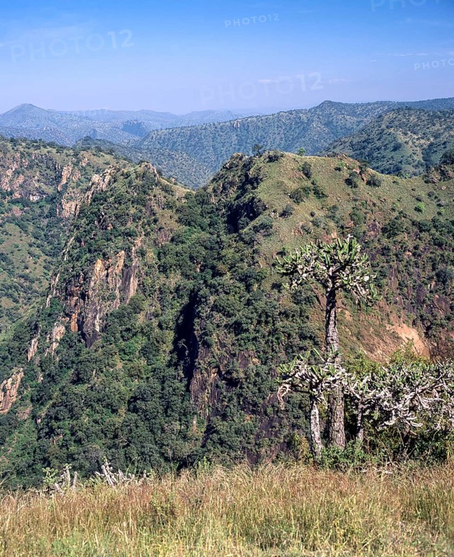 Sigur range hills cape view near Ooty