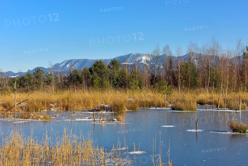 Frozen moor pond with hoarfrost