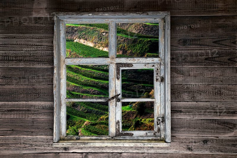 View through a rustic wooden window into the vineyard