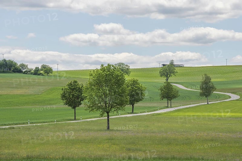 Nature reserve of Rotenbach meadows in High Black Forest. Friedenweiler