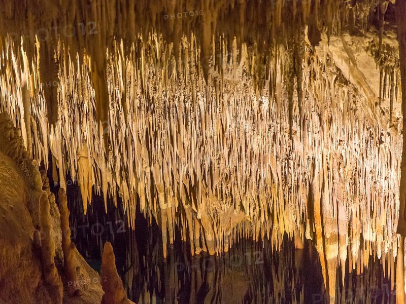 Coves del Drac
