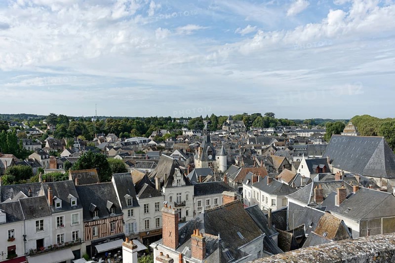 From Chateau Royal dAmboise