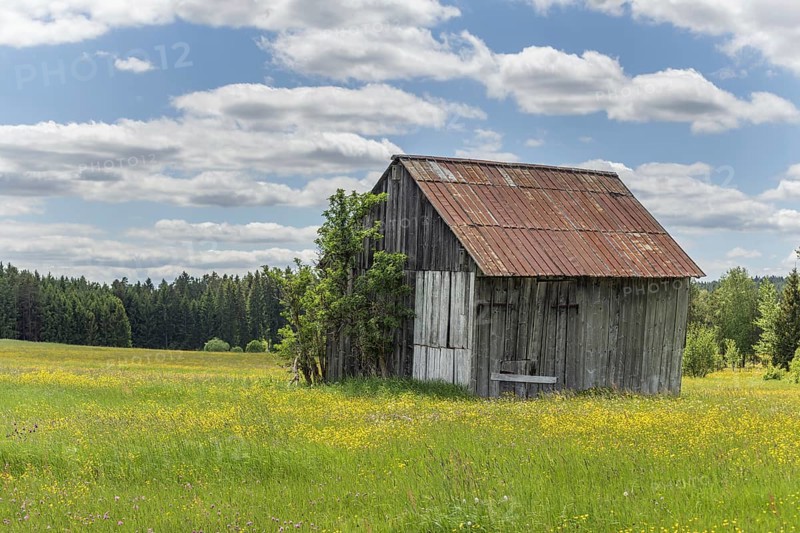 Hut in the nature reserve of Rotenbach meadows in High Black Forest. Friedenweiler