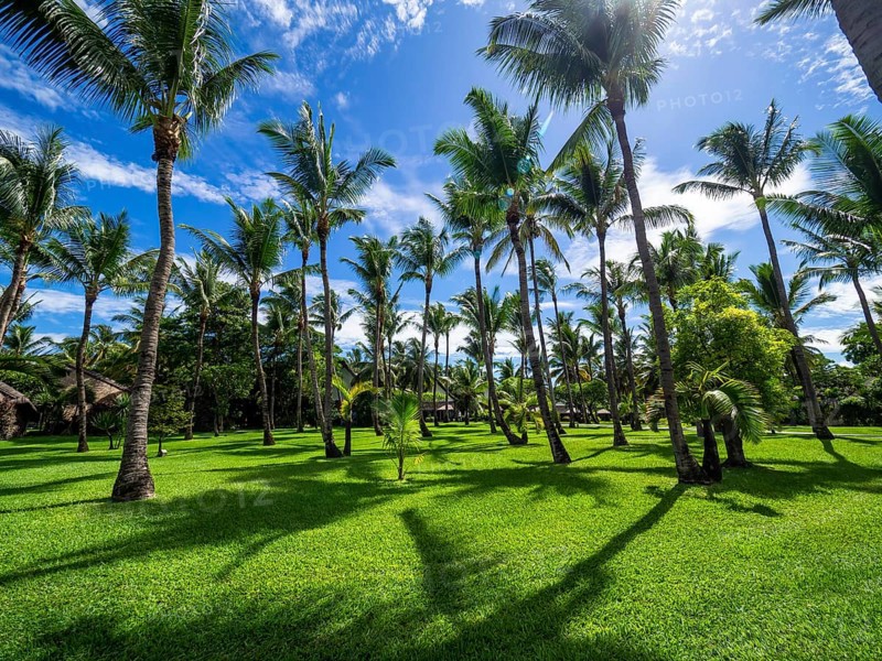 Luxushotel La Pirogue Resort & Spa mit tropische Hotelanlage