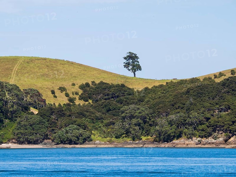 Bay of Islands Coast