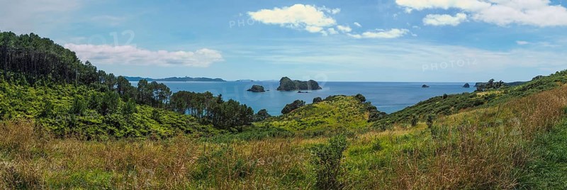 Coast at Cathedral Cove Walk