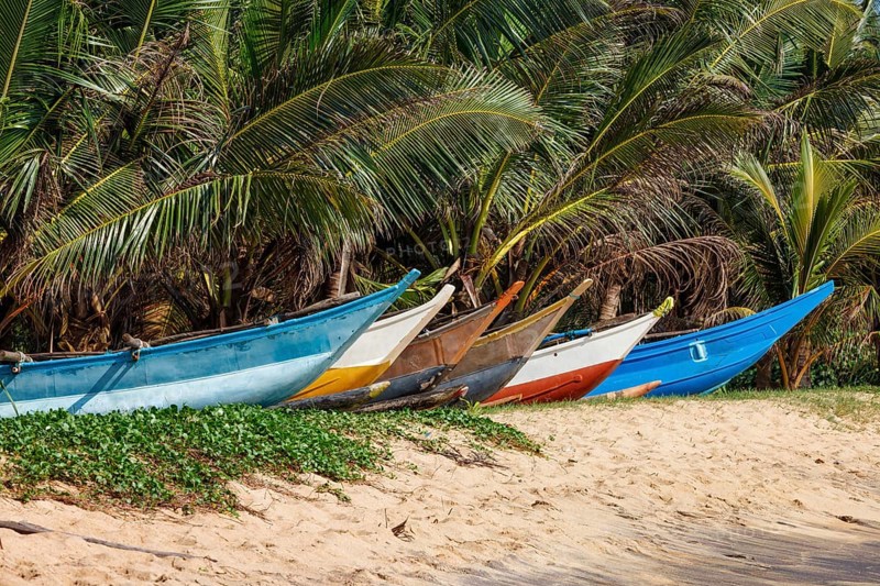 Tropical beach with row of fishing boats on sand