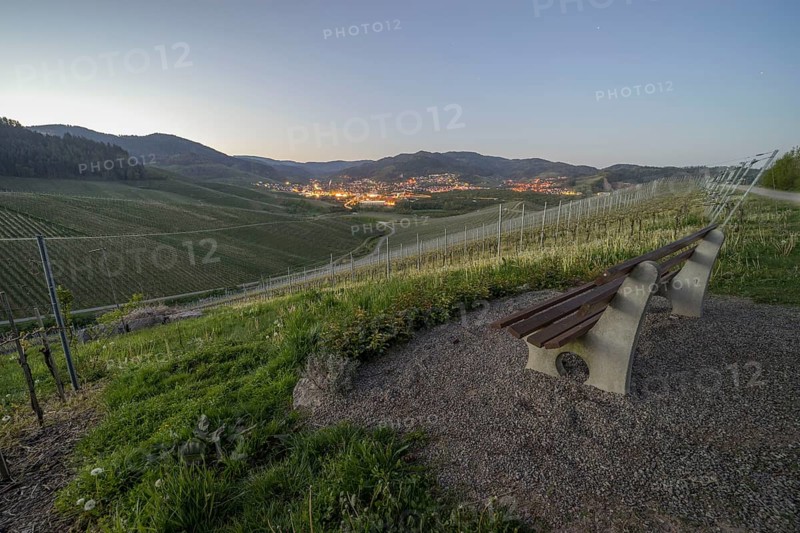 Vineyard