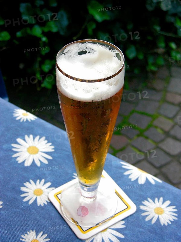 Fresh beer in a glass