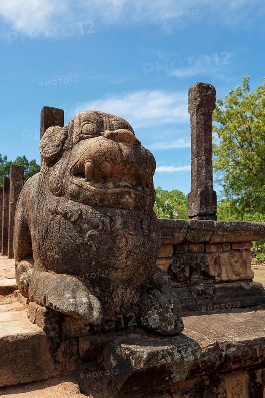 Lion statue stone on entrance of Audience Hall of King Parakramabahu ruins in Royal Palace group in ancient city Pollonaruwa