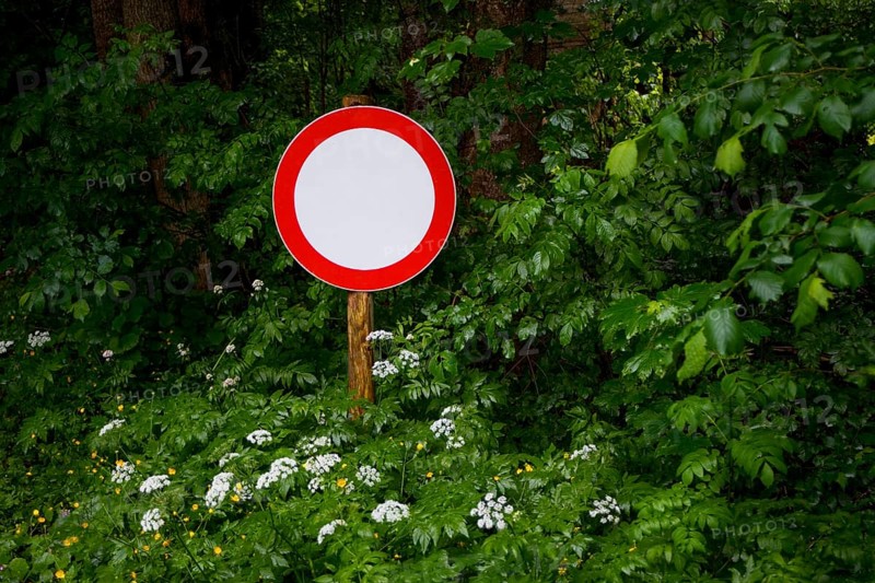 Verkehrsschild Durchfahrt Verboten steht im Gebuesch am Waldrand