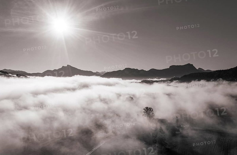Schafberg und Drachenwand ragen aus dem Nebelmeer