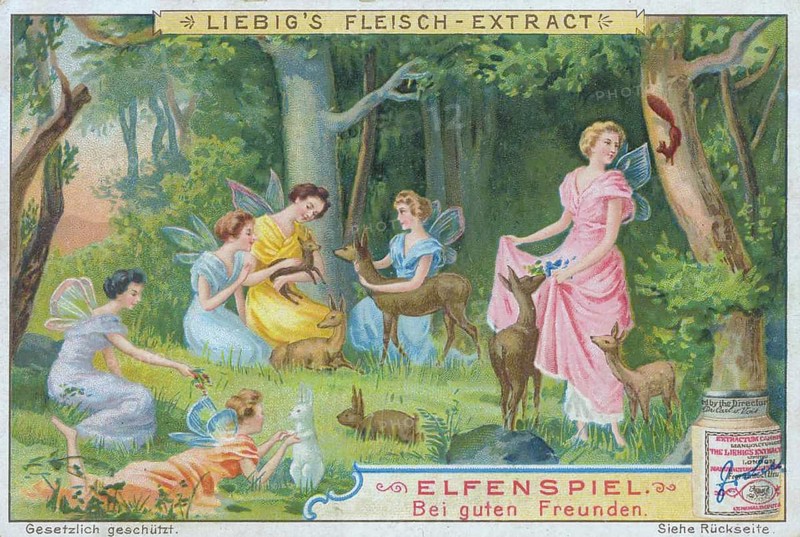 Series Elfenspiel