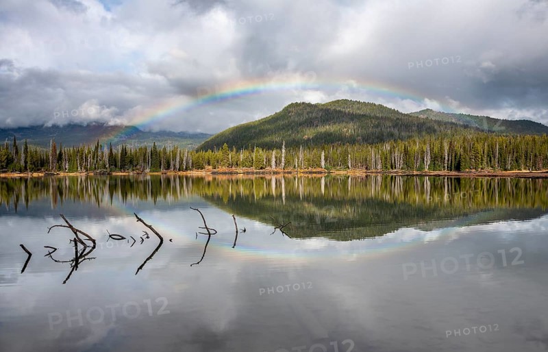 Rainbow in dark clouds over a forest