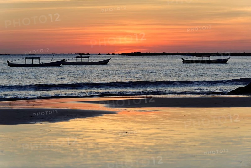 Evening