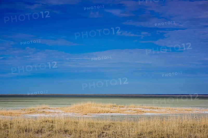 Landscape at the edge of the salt pan