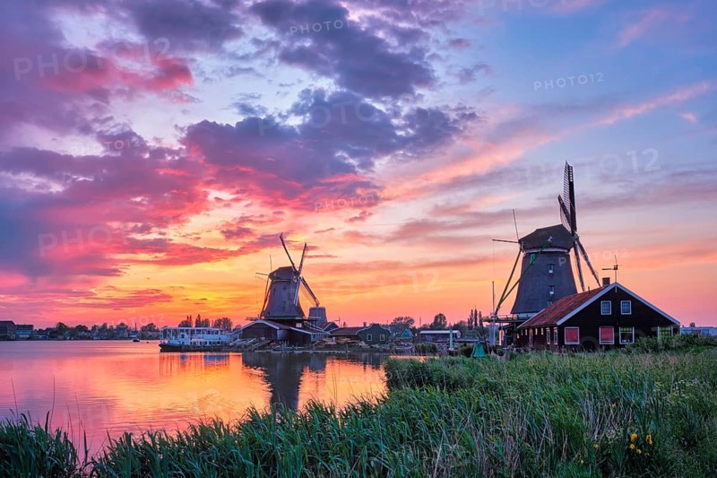 Netherlands rural scene