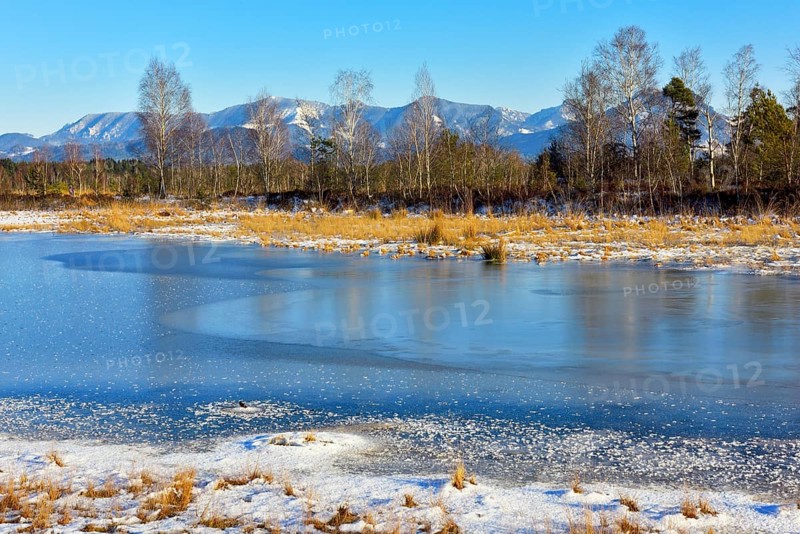 Frozen moor pond with hoarfrost