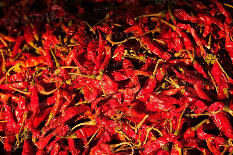 Dried dry red spicy chili peppers pile at asian market close up texture background