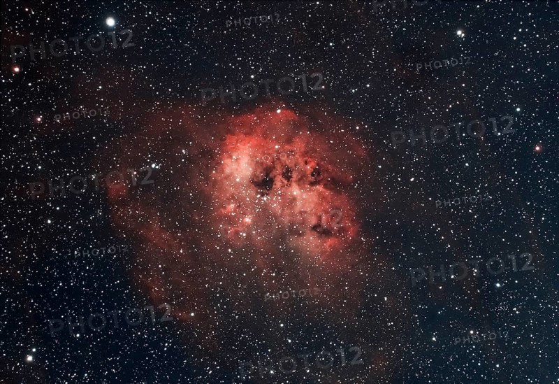 Emissionsnebel IC410 mit einem eingebetteten offenen Sternhaufen