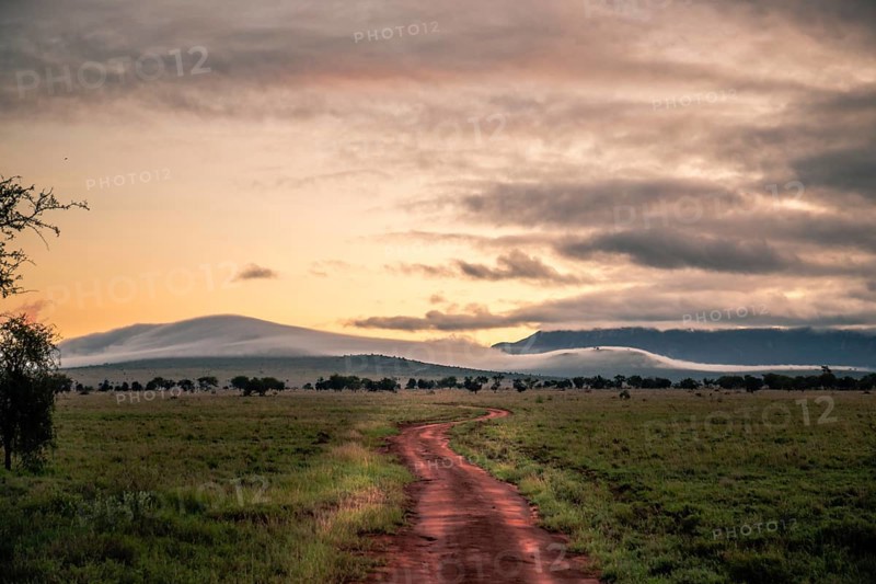 Landscape shot in the wide savannah with mountains and morning fog