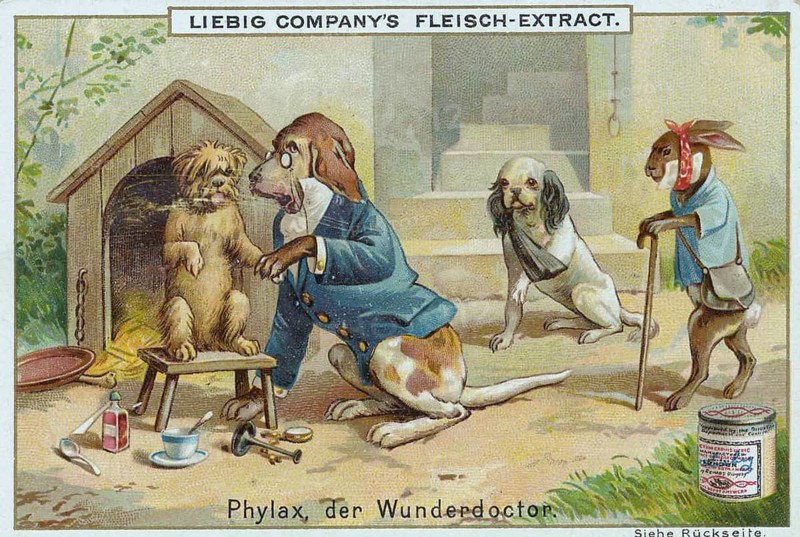 Series of funny animal depictions