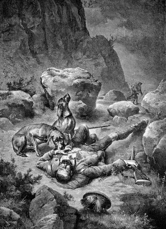 Hunters shot by poachers