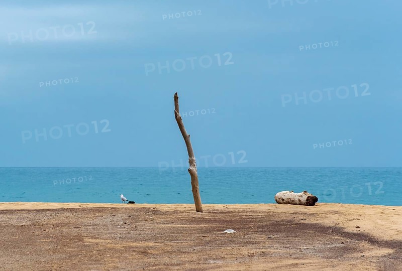 Wooden pole and driftwood on deserted beach