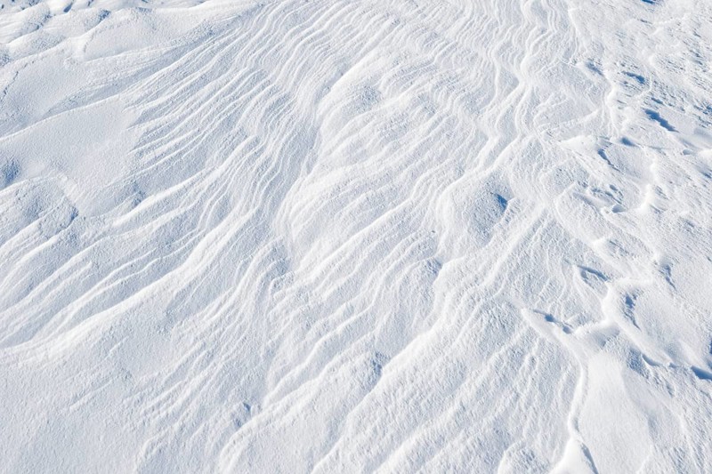 Snowdrift
