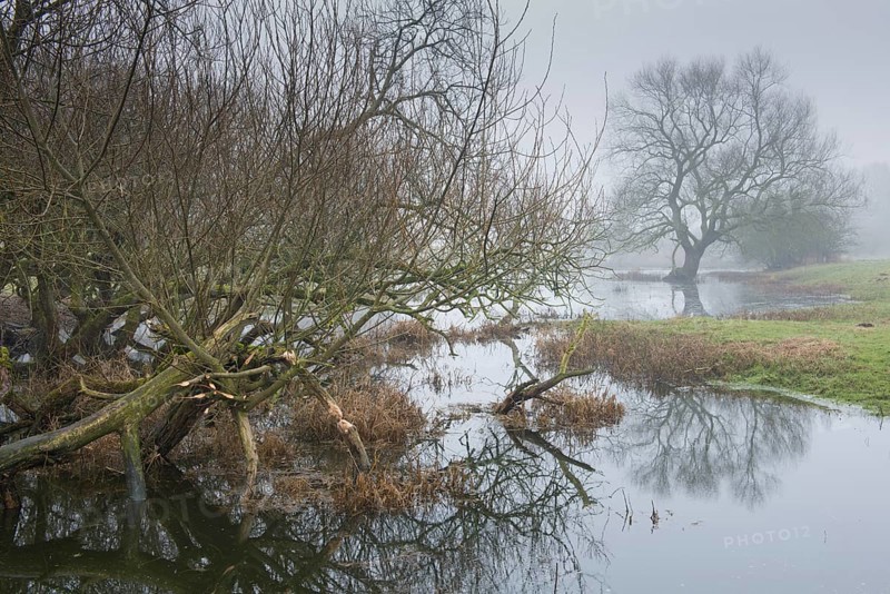 back water of the Ems