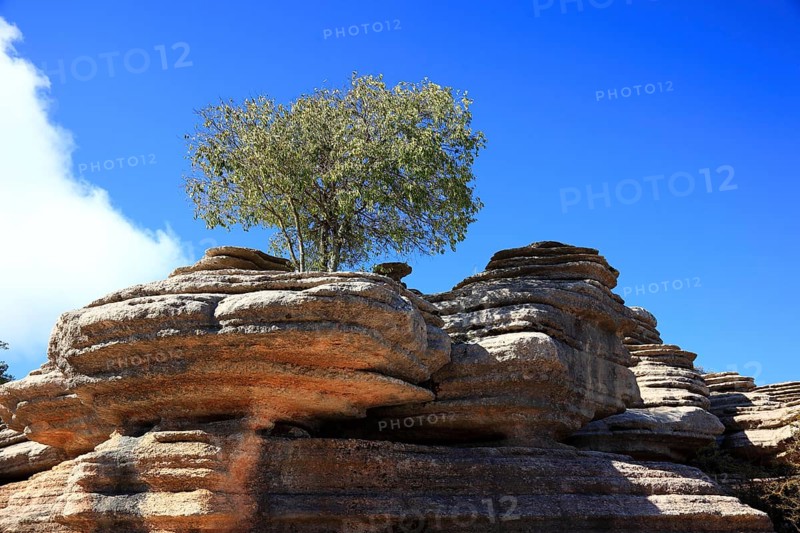 Bizarre rock formations in El Torca National Park
