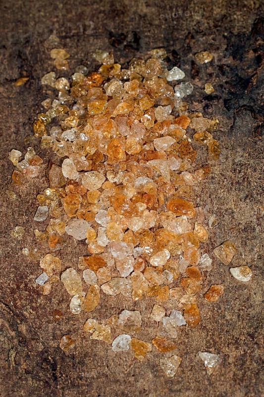 Nahaufnahme