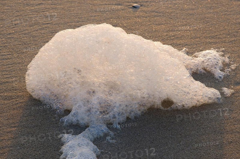 Schaum am Strand