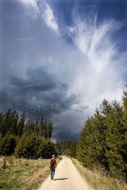Hiker on a forest path through a coniferous forest with threatening storm clouds in the sky