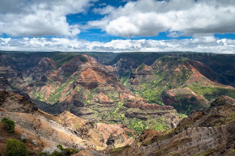Waimea Canyon State Park