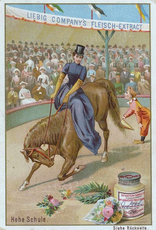 Series Horse Dressage in the Circus