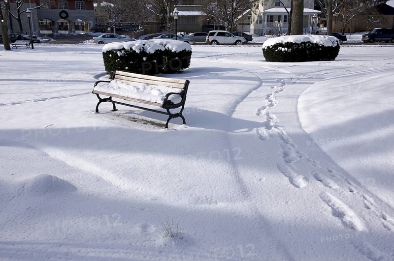 Empty snowy bench in chicago park after winter snow
