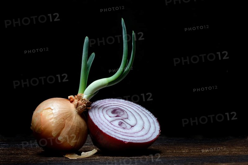 Sprouting common onion