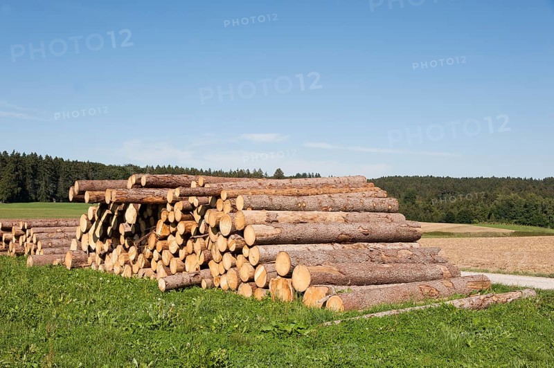 Logging