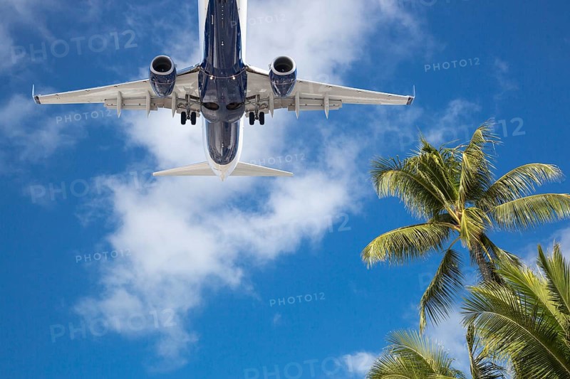 Bottom view of passenger airplane flying over tropical palm trees