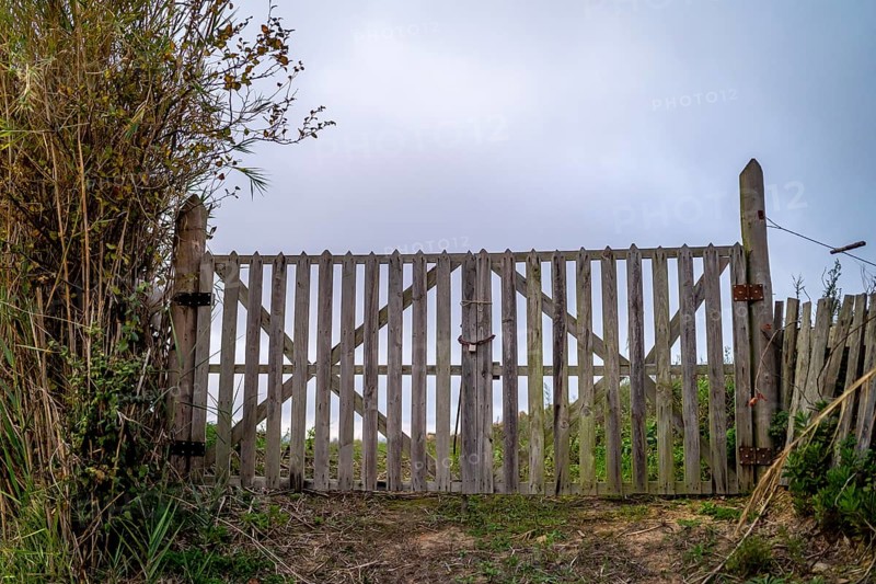 Wooden gate with a padlock leading to the field