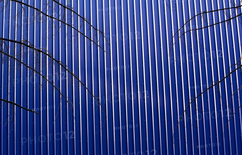 Blick durch den Wald auf eine Fassade einer blauen Fabrikshalle