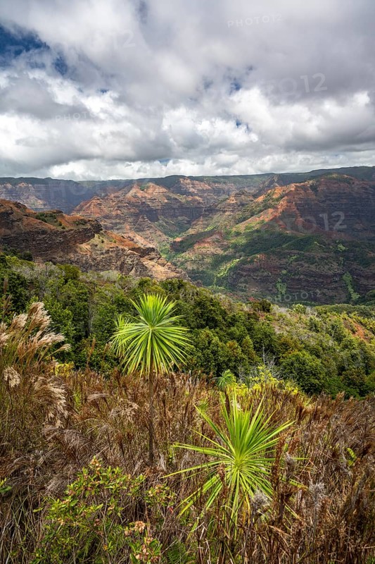 Waimea Canyon State Park