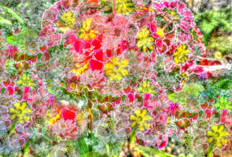 Flowers creative