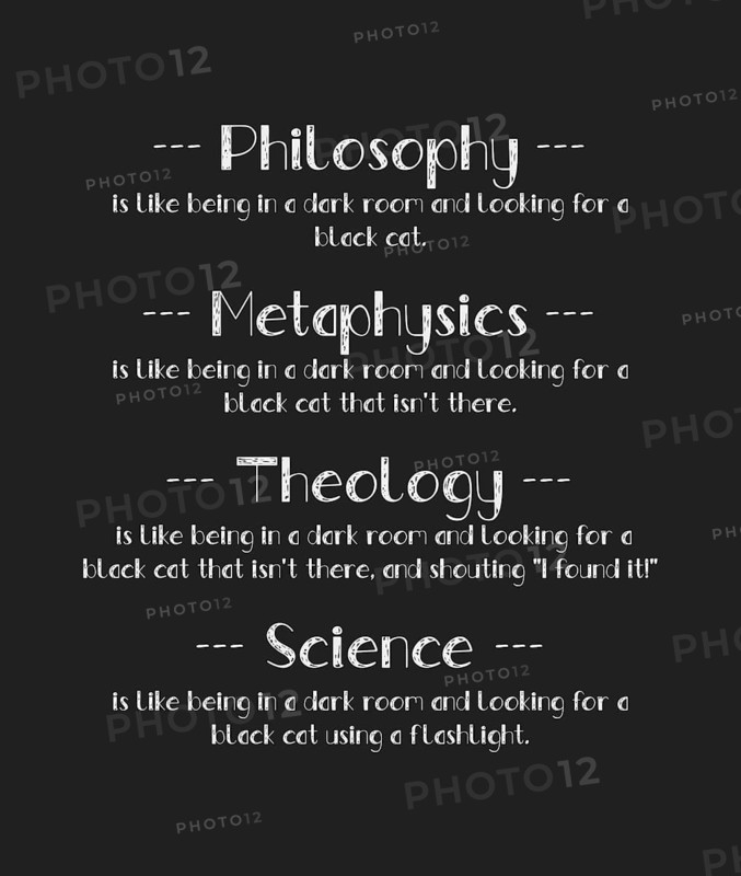 The Black Cat Analogy shows the difference between Philosophy