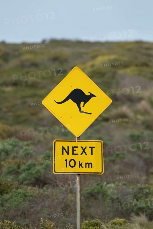 Road sign warning of Kangaroo's on the Great Ocean road