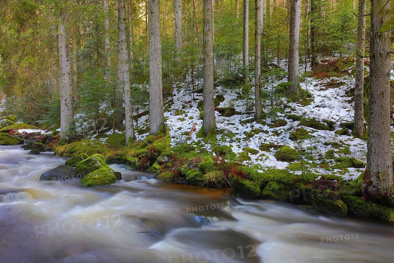 Stream in winter
